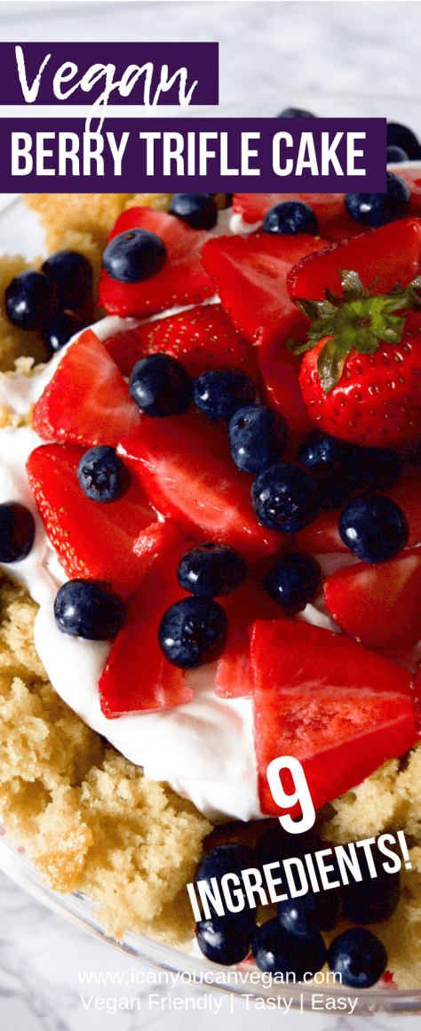 Vegan Berry Trifle Cake