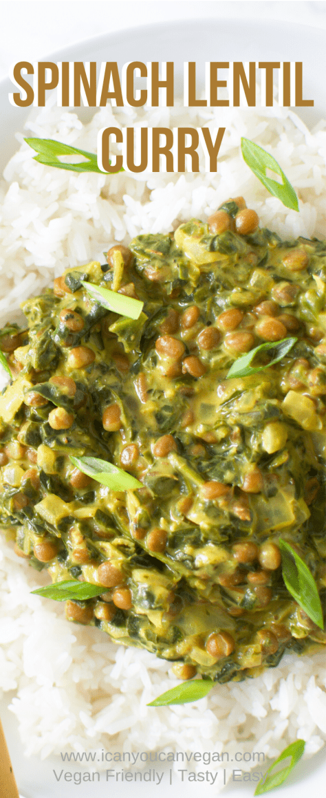 Lentil + Spinach Curry