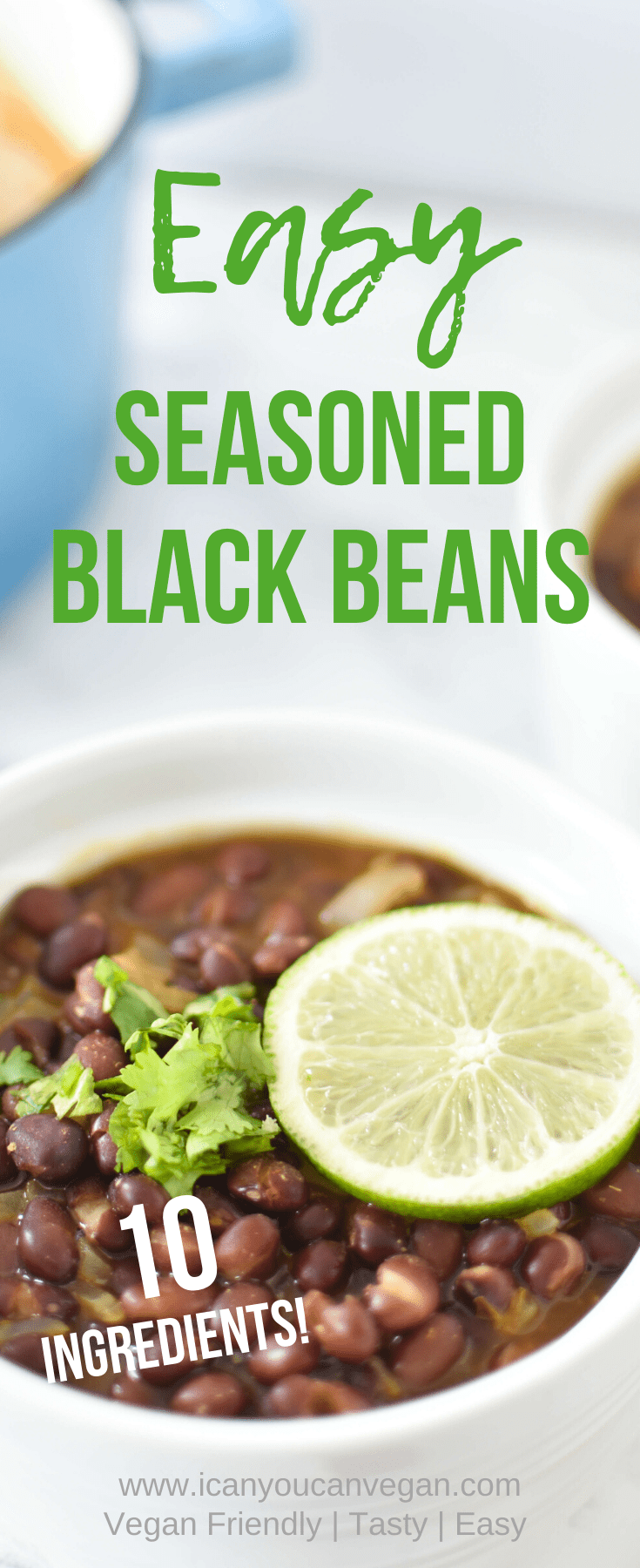 Vegan Seasoned Black Beans