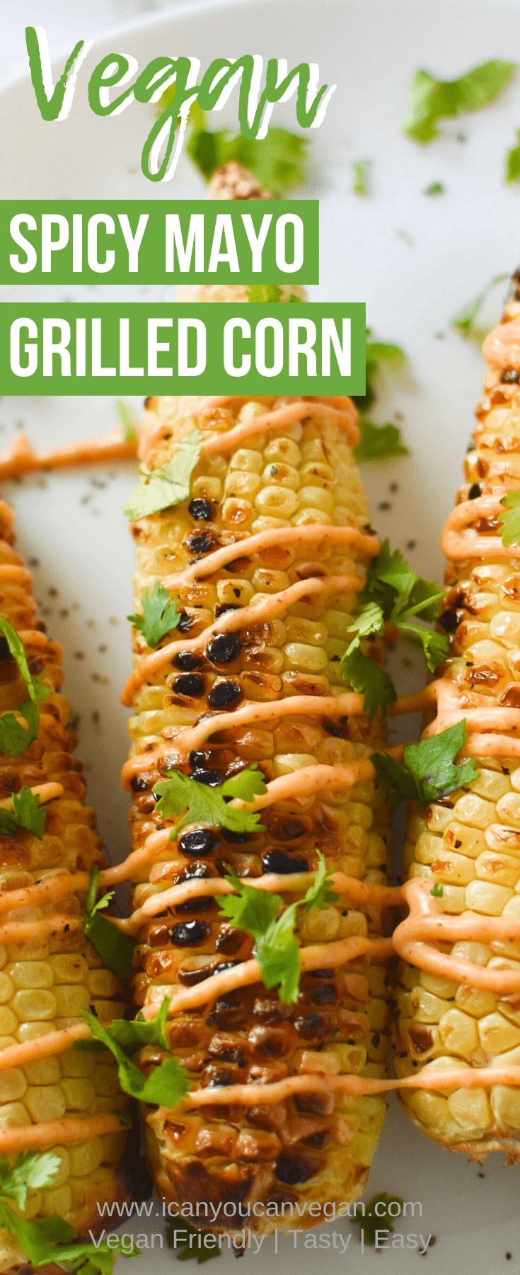 Spicy Mayo Grilled Corn Pinterest