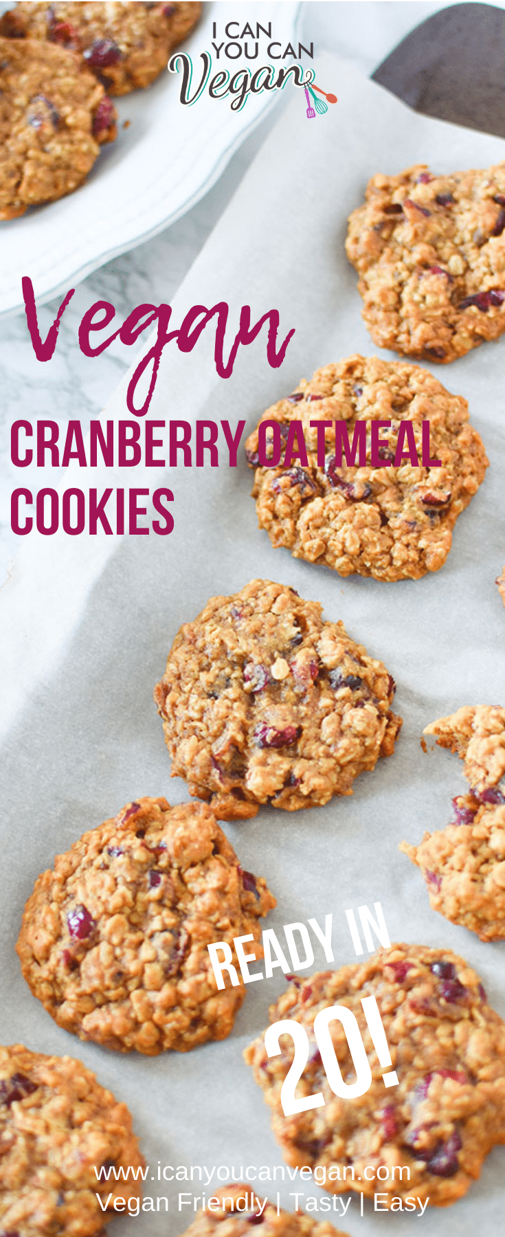 Vegan Cranberry Oatmeal Cookies- Pinterest