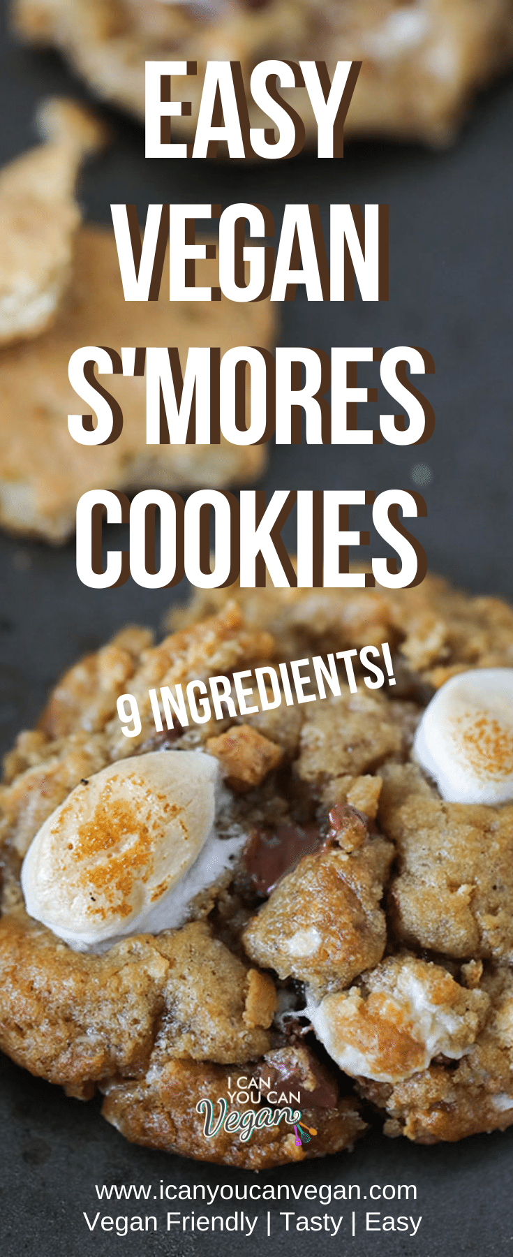 Vegan S'mores Cookies Pinterest