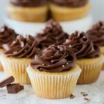 Vegan Yellow Cupcakes with Chocolate Frosting