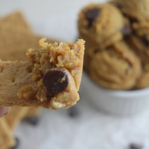 Chocolate Chip Peanut Butter Hummus