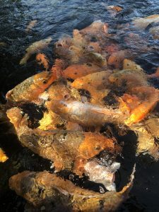 Tirta Ganga Water Palace