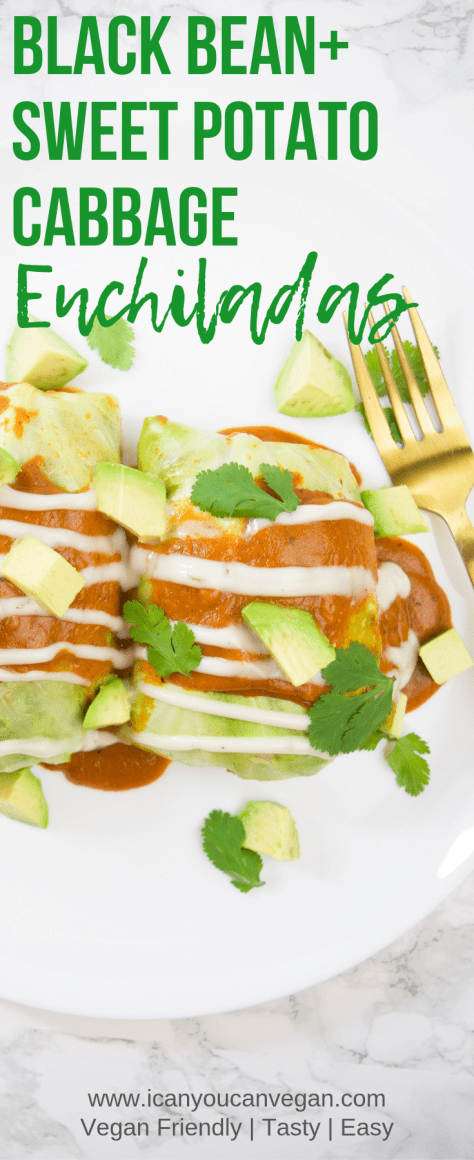 Black Bean Sweet Potato Cabbage Enchiladas
