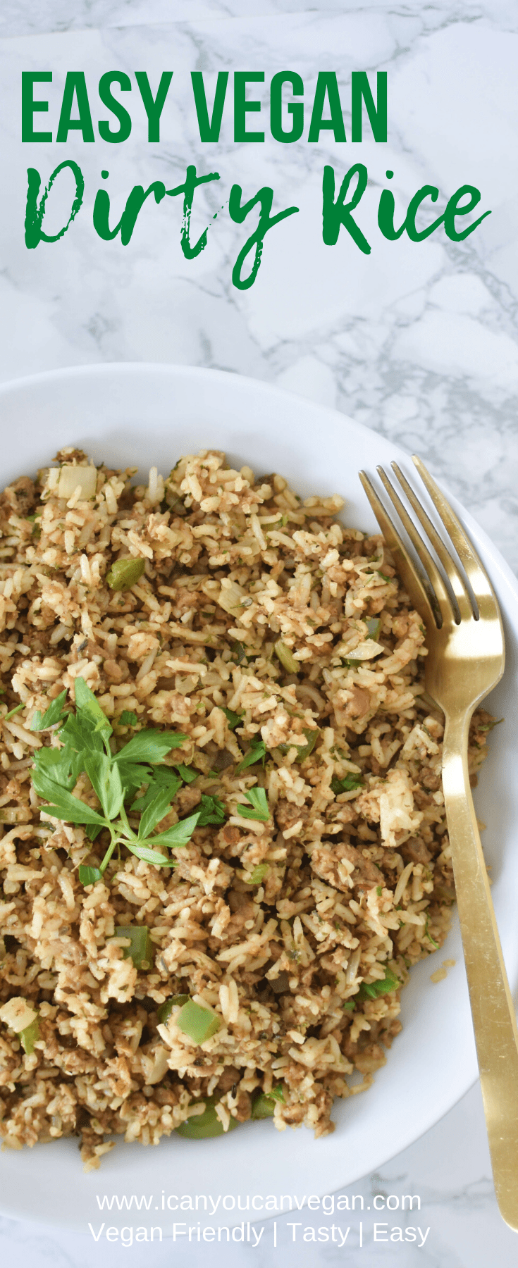Vegan Dirty Rice