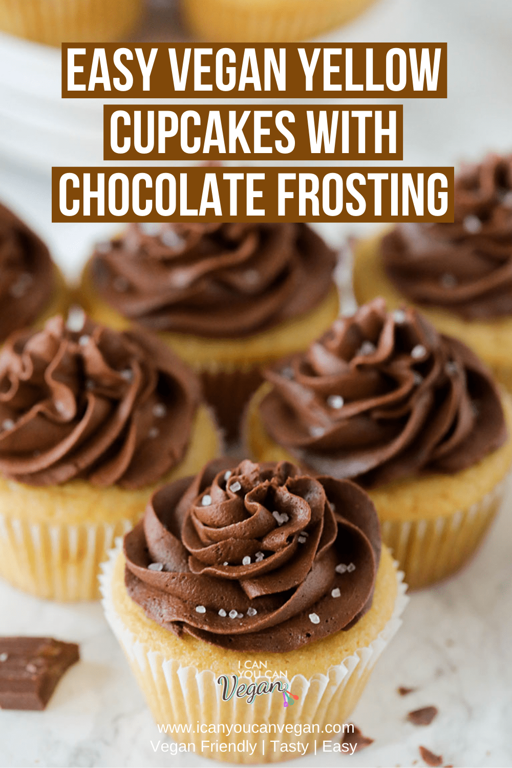 Vegan Yellow Cupcakes with Chocolate Frosting