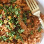 Vegan Crockpot Salsa Chicken