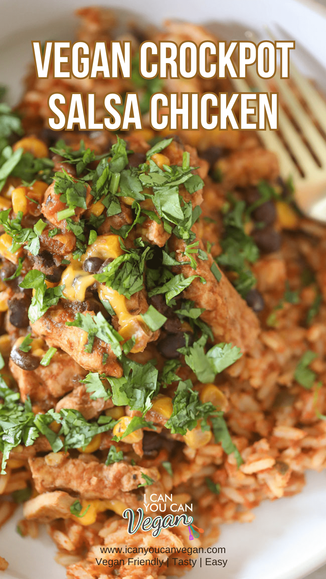 Vegan Salsa Chicken - Pinterest