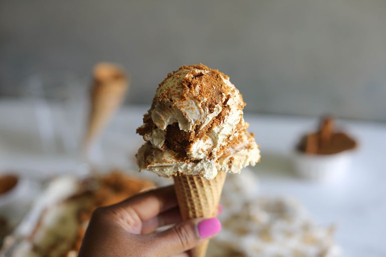 Vegan Cookie Butter Ice Cream