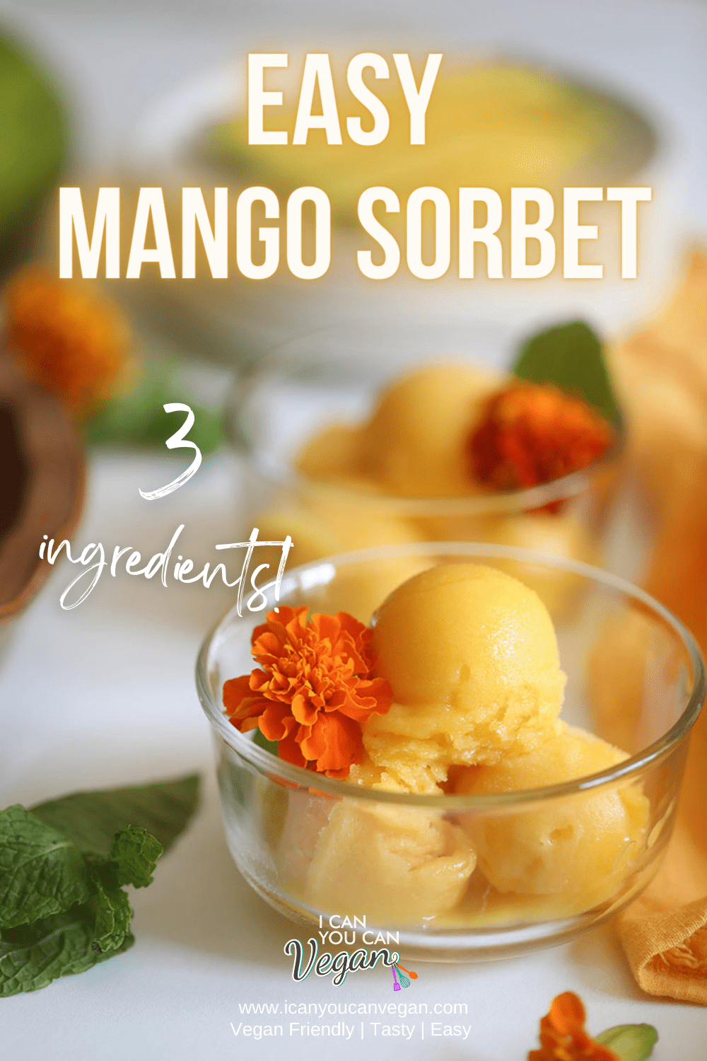 Mango Sorbet - Pinterest