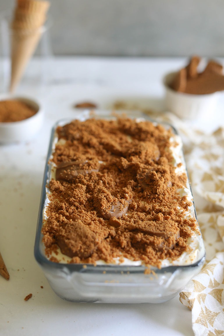 Vegan Cookie Butter Ice Cream
