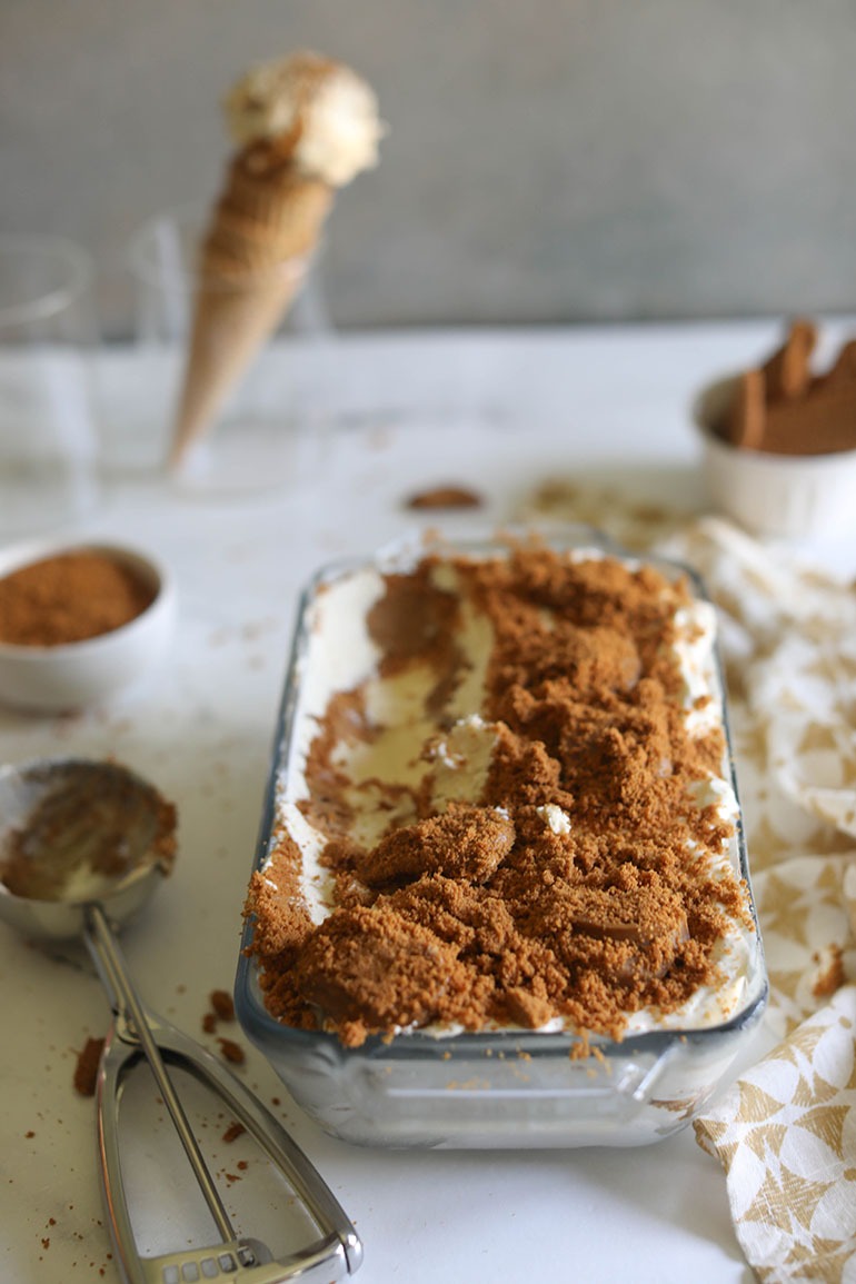Vegan Cookie Butter Ice Cream