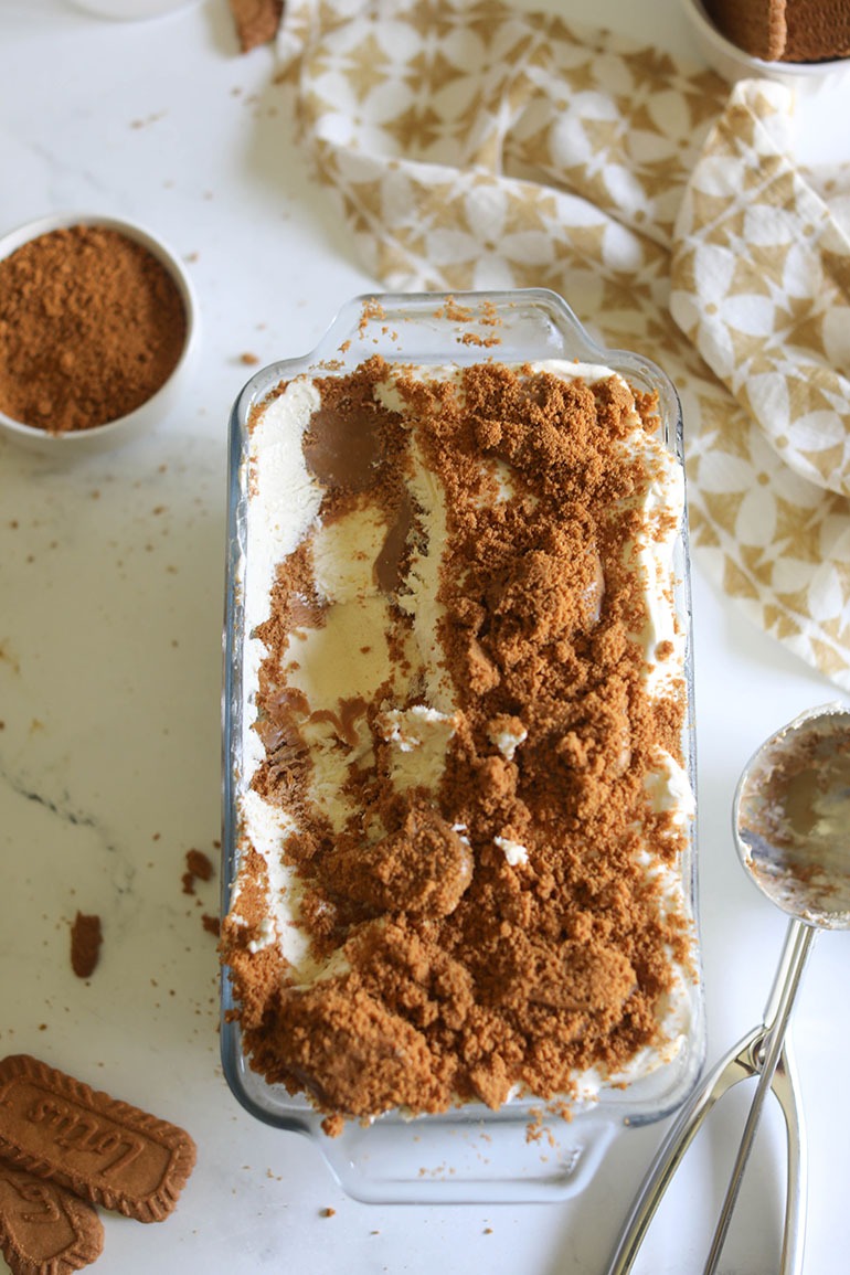 Vegan Cookie Butter Ice Cream