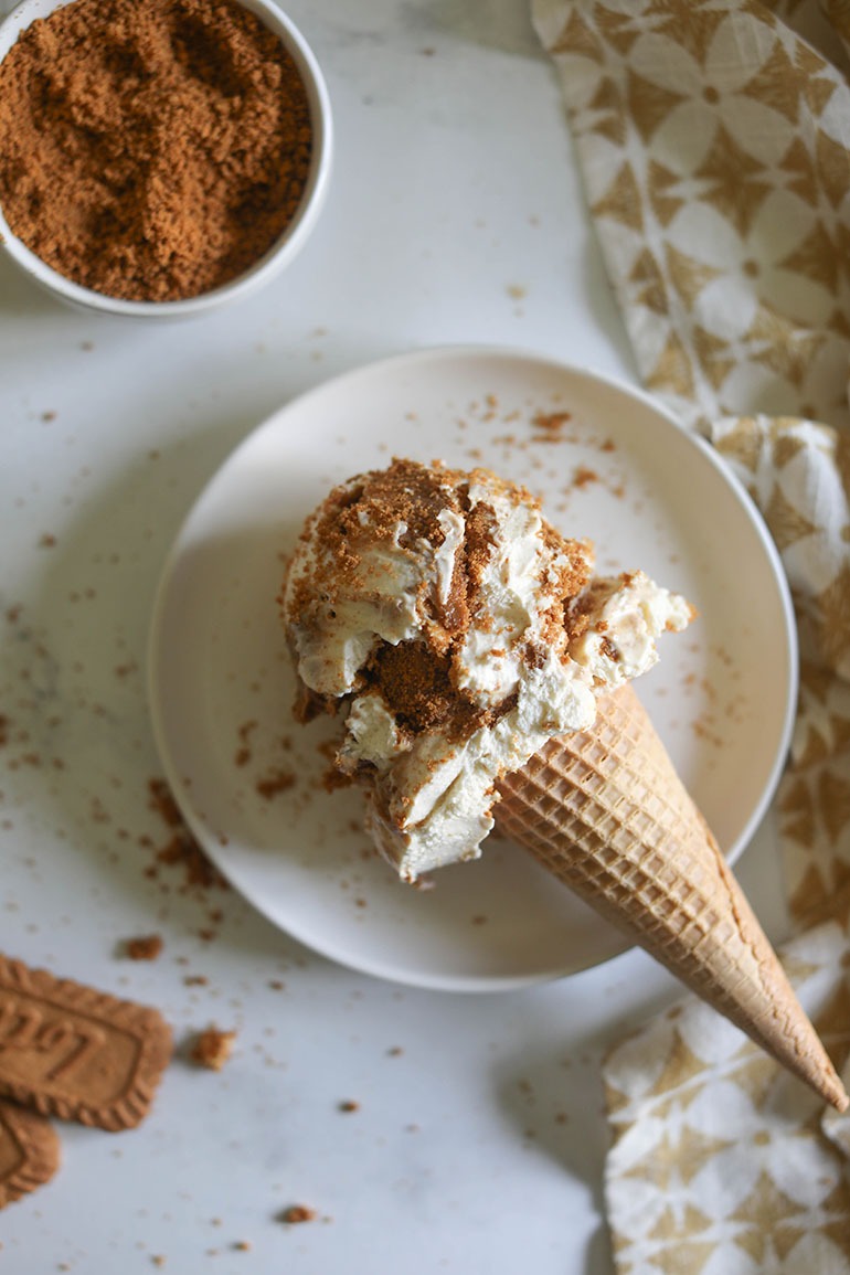Vegan Cookie Butter Ice Cream