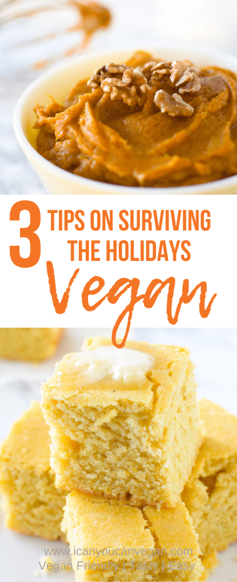 3 Tips on Surviving the Holidays as a Vegan