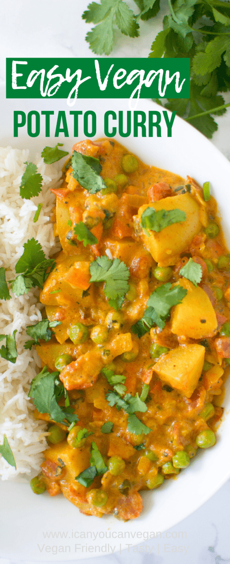 Easy Potato Curry