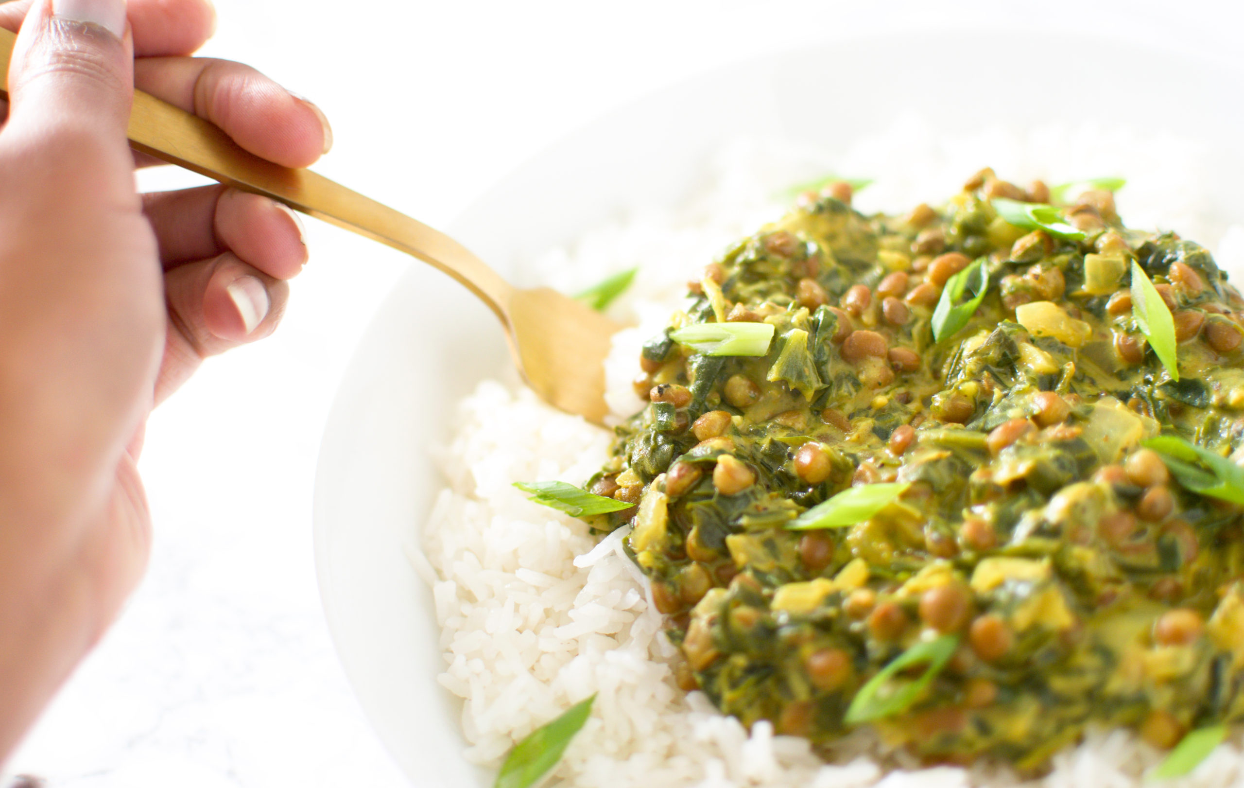 Lentil + Spinach Curry in the bowl
