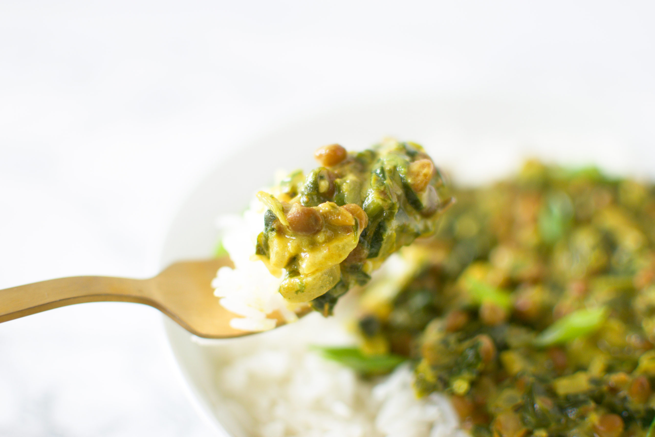 Lentil + Spinach Curry in the bowl